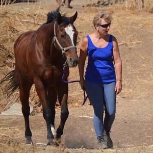 Meet your Posher, Pat